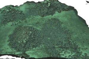 Дайверы обнаружили у берегов Норвегии подводное сооружение оказавшееся средневековой ловушкой для китов