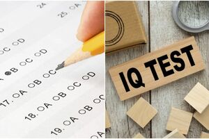 Как был создан тест на IQ, и действительно ли он может измерить уровень интеллекта