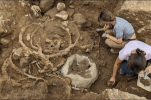 В Британии обнаружен крупнейший в истории клад железного века, изменивший представление о древних технологиях