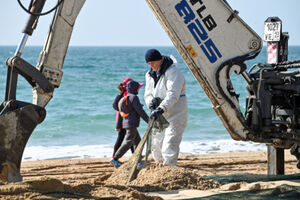Этим летом в Анапе все-таки откроют пляжи