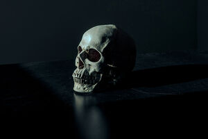 Вес костей составляет всего 15% от общей массы тела