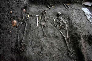 Ученые раскрыли роль бактерий в сохранности скелетов