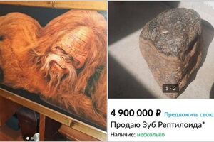 15 фото самых странных объявлений с барахолок в интернете