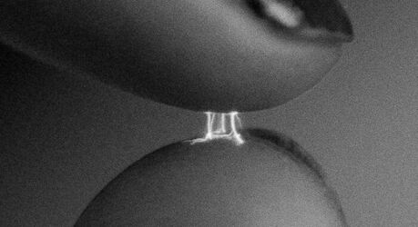 Окружающий мир в фокусе: вдохновляющие кадры, которые заставляют смотреть шире (18 фото)