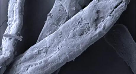 В России придумали как получить воду из воздуха с помощью композита