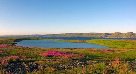 Уникальное озеро-коммуналка на севере России, где живут одновременно морские и пресноводные обитатели