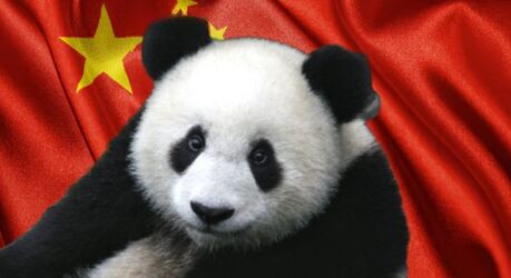 Что такое пандовая дипломатия, и Кто берет этих животных в аренду за 1 миллион долларов