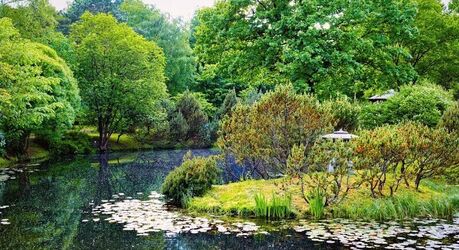 Зеленые сокровища мира: самые красивые ботанические сады планеты