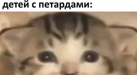 Этот пост не планировался