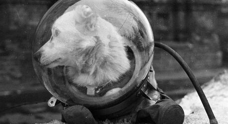 Исторические шедевры. Класс!