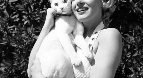 Исторические шедевры. Невероятно!