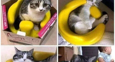 Папка: посмотреть потом