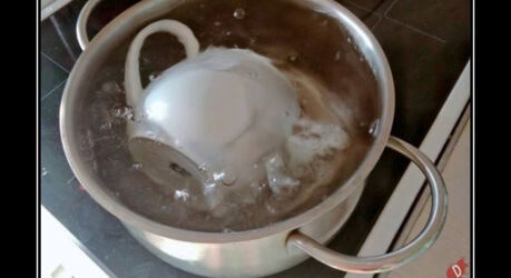 Демотиваторы на любой вкус: «Вскипятить чайник можно по-разному…» (18 фото)