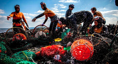 Кто такие хэнё