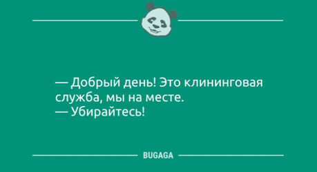 Анекдоты и хорошее настроение: «Добрый день!» (8 фото)