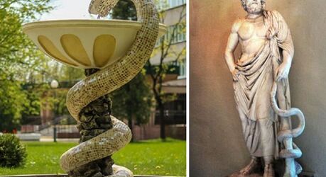 Почему змея на самом деле стала символом медицины и еще 4 вопроса, которые задает весь мир