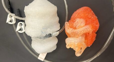 Учёные создали бьющееся сердце на 3D-принтере для тренировки хирургов