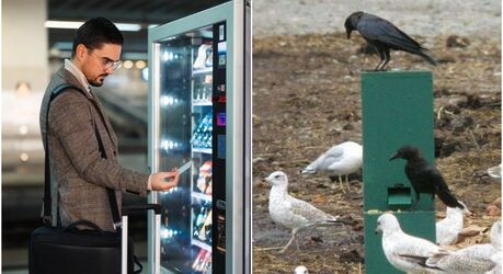 Разовьёт лудоманию и накормит птицу за бумажку: 5 неожиданных фактов о торговых автоматах