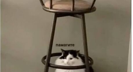 Порция интернет-юмора — смешные мемы | Bugaga