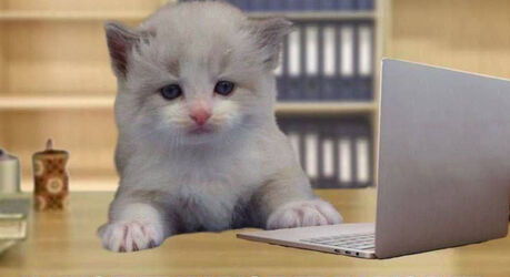 Настроение: посмотреть всё — смешные мемы | Bugaga