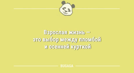 Анекдоты в середине недели: «Взрослая жизнь — это…» (9 шт)