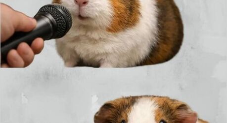 Бомбардировка позитивом — жёсткие мемы и смешные приколы | Bugaga