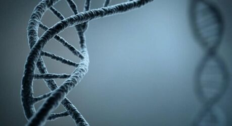 Изучение древней ДНК показало неожиданное ускорение естественного отбора у людей за последние 10 000 лет