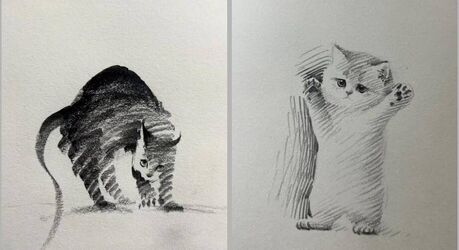 15 милых карандашных рисунков котов, в которые легко влюбиться