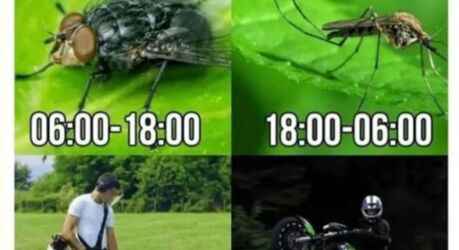 Дзынь — и ты в кроличьей норе — мемы | Bugaga