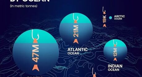 Мировой вылов по океанам: кто кормит человечество рыбой?