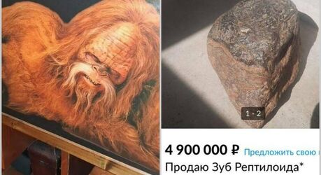 15 фото самых странных объявлений с барахолок в интернете