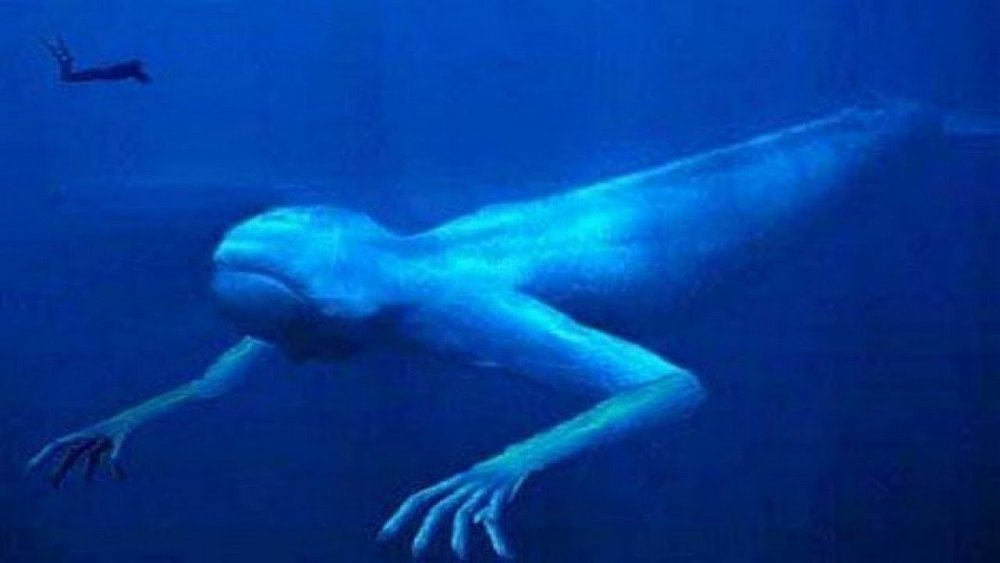 Почему обитатели живущие на дне океана испытывают. Морское чудовище Нинген. Нинген: чудовище Антарктики. Нинген японский криптид. Рунаншах Каспийского моря.
