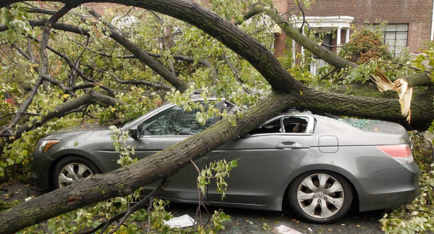 Повезло весной. Дерево упало на авто. Машина под деревом. Упавшее дерево на машину. Машина на дереве.