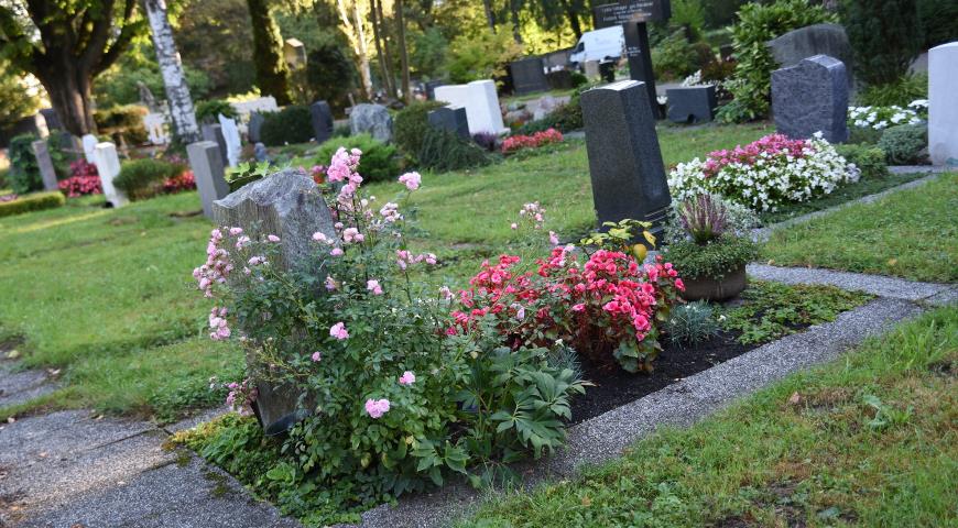 Какие многолетние цветы можно посадить на кладбище низкорослые с фото и названием